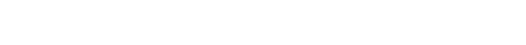 Dolphin Semiconductor