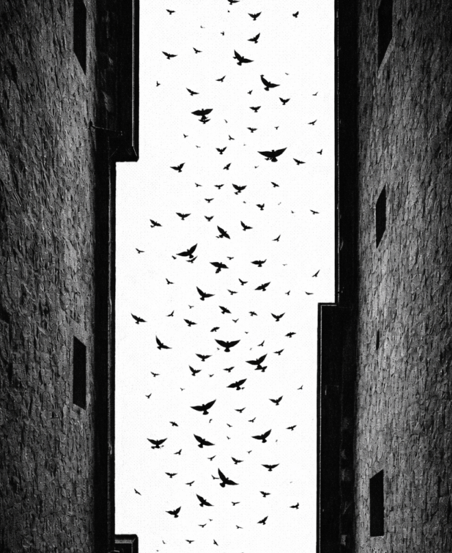 Pássaros voando em céu claro entre dois edifícios de pedra altos.