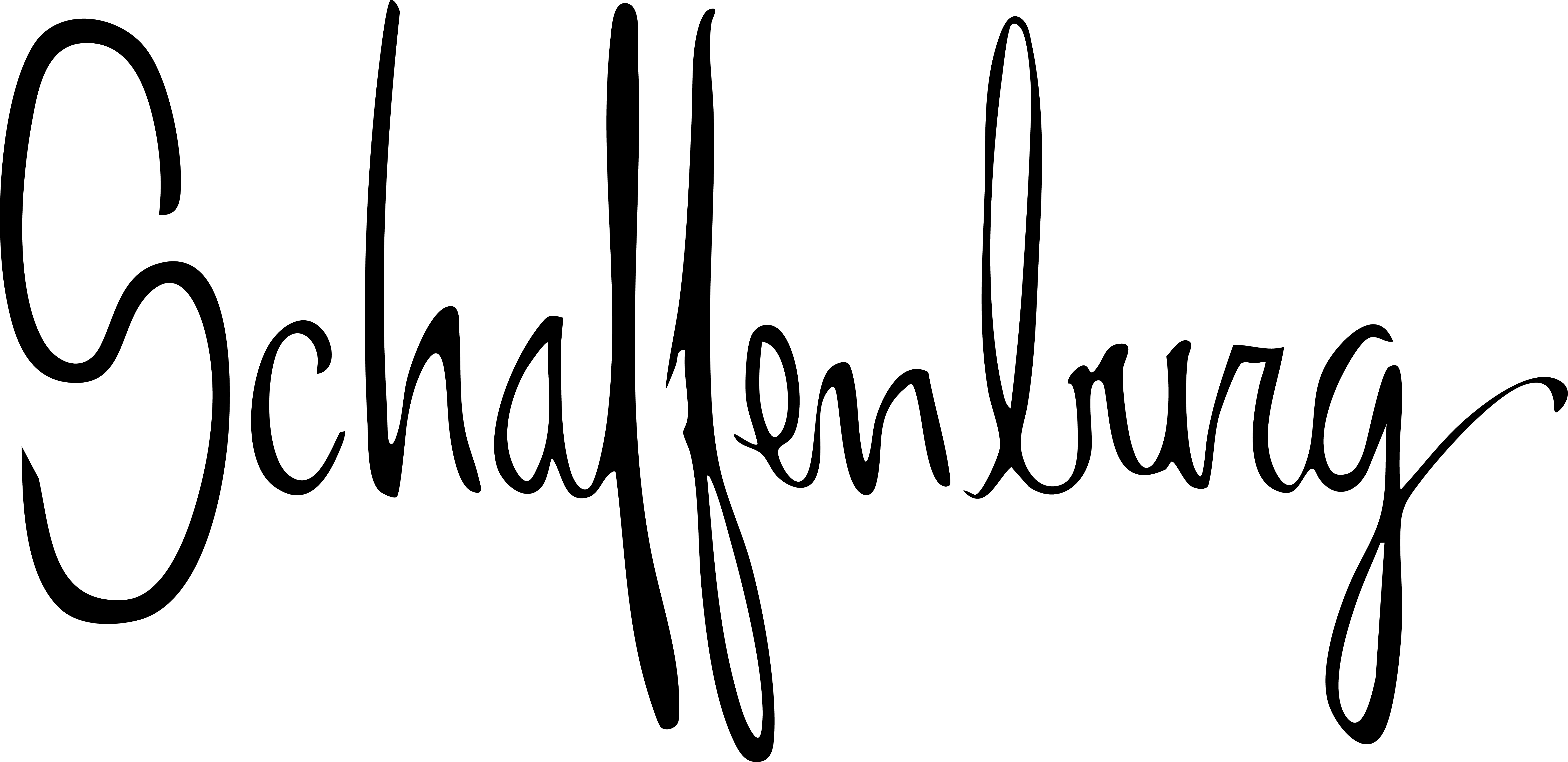 Logo zwart Schaffenburg