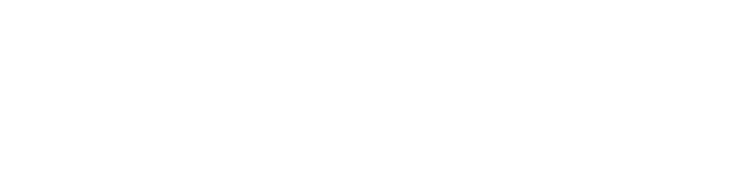 Salt logo and namestyle