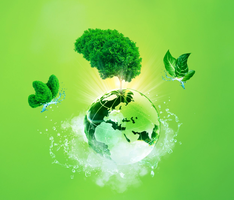 Green earth with a tree growing on top, surrounded by leaves and water splashes on a green background symbolizing environmental care.
