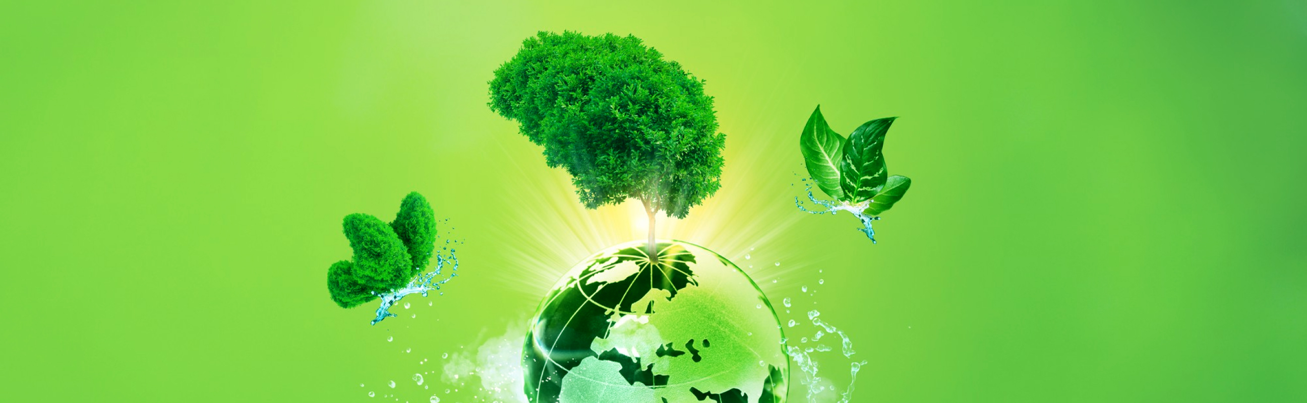 Green globe with a large tree growing from the top and two smaller leafy elements with water splashes on either side, set against a bright green background.