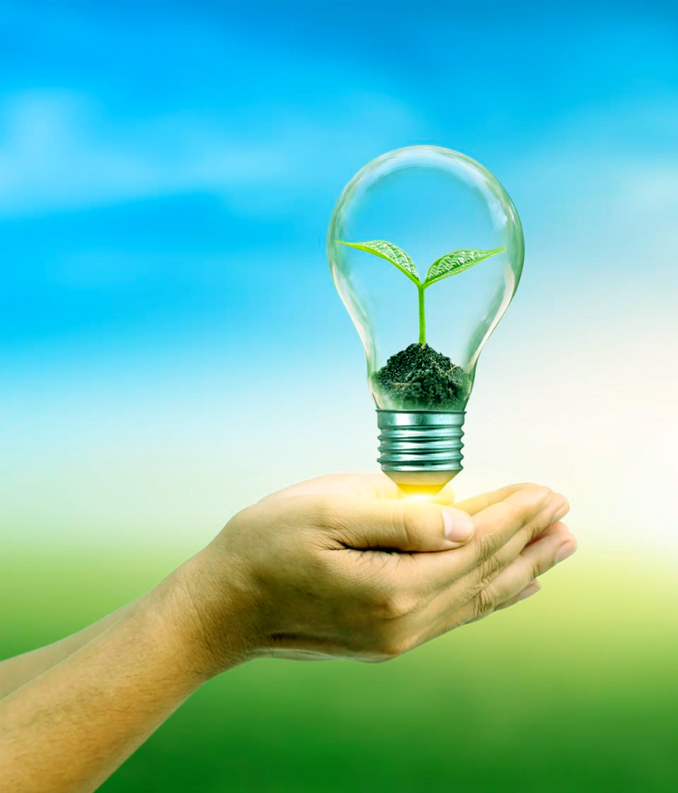 Hand holding a light bulb containing soil and a small green plant sprout inside.