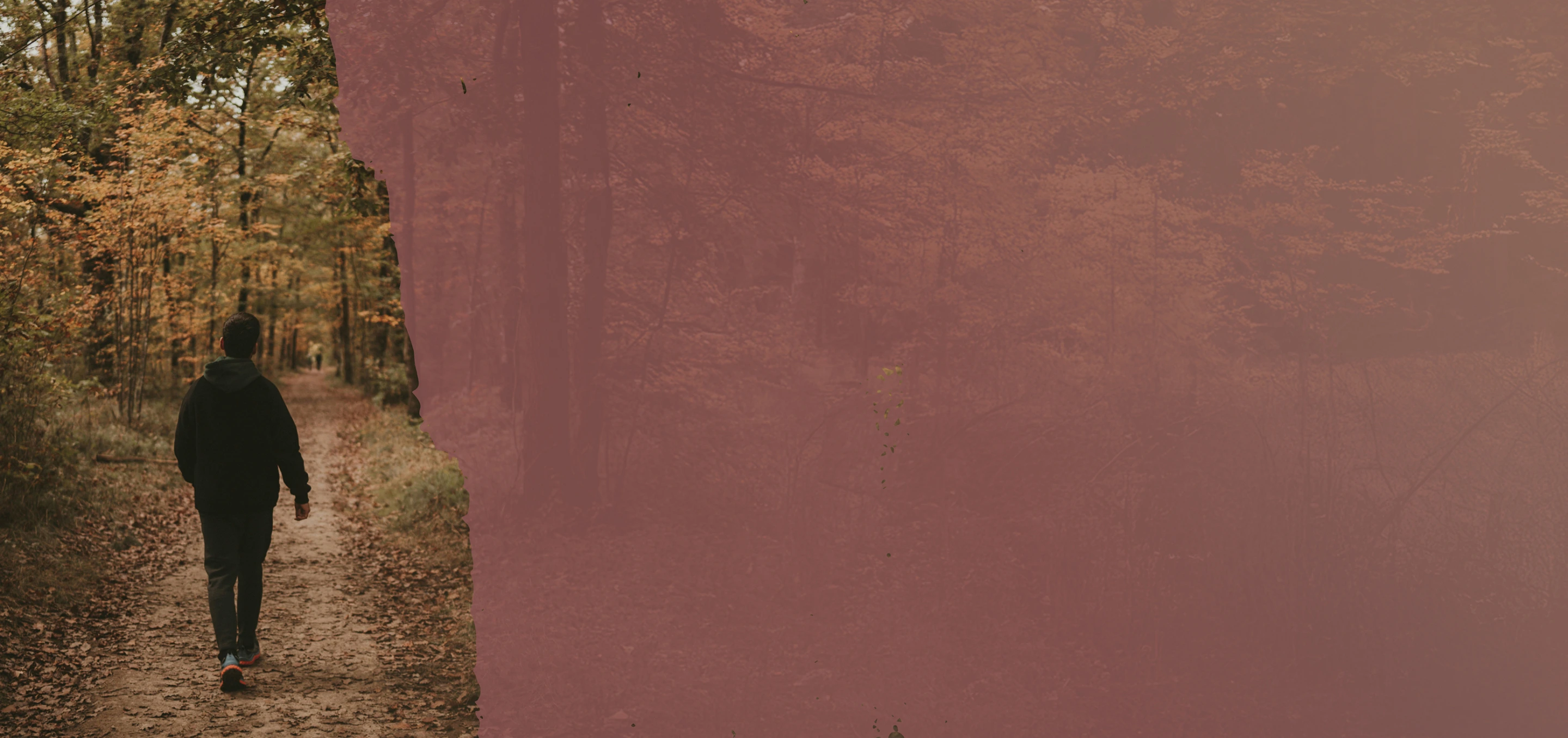 Person walking alone on a leaf-covered forest trail surrounded by autumn foliage.