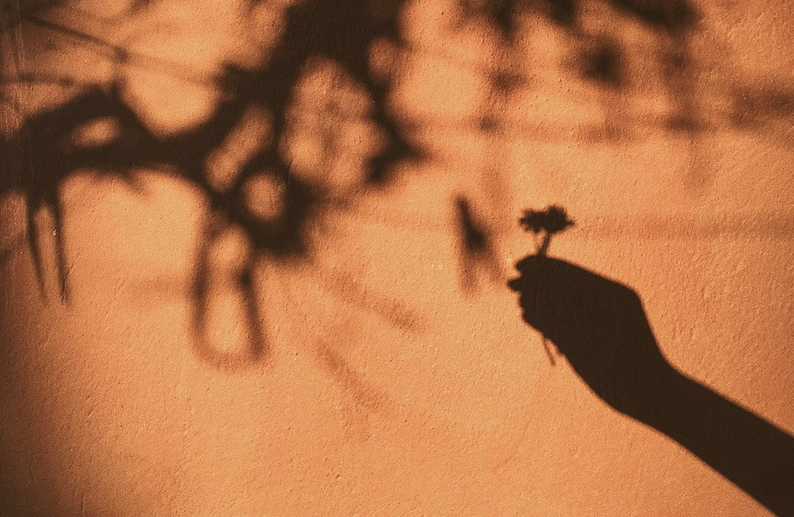 Shadow of a hand holding a small flower cast on an orange textured wall with other blurred shadows in the background.