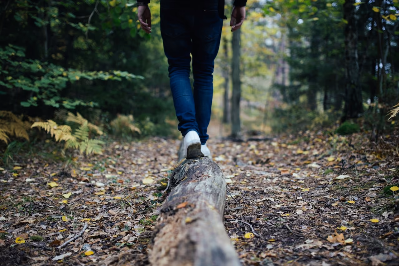 Dialectical Behavioral Therapy in CT