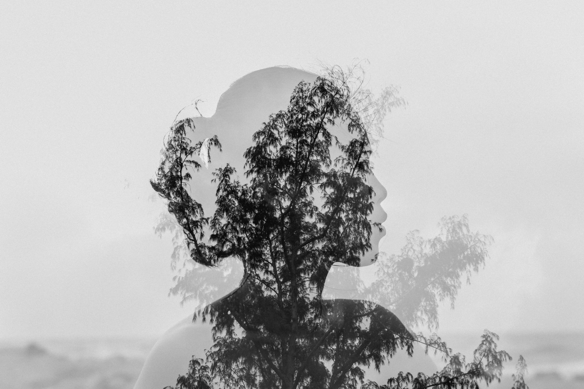 Black and white double exposure of a woman's profile filled with the branches and leaves of a tree, set against a pale, misty sky.