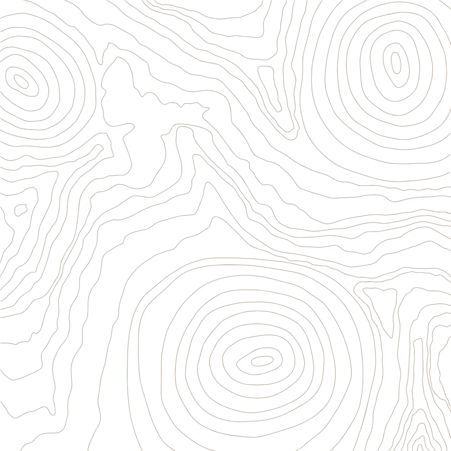 Abstract black and white topographic map pattern with concentric contour lines.
