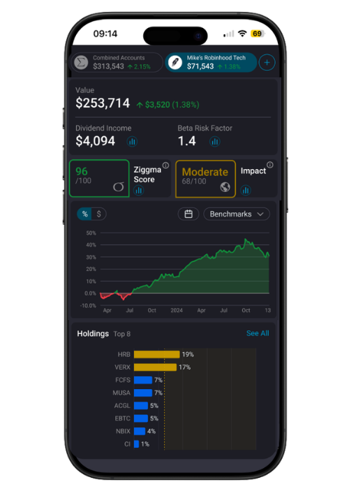 Image illustration the Ziggma portfolio visualizer