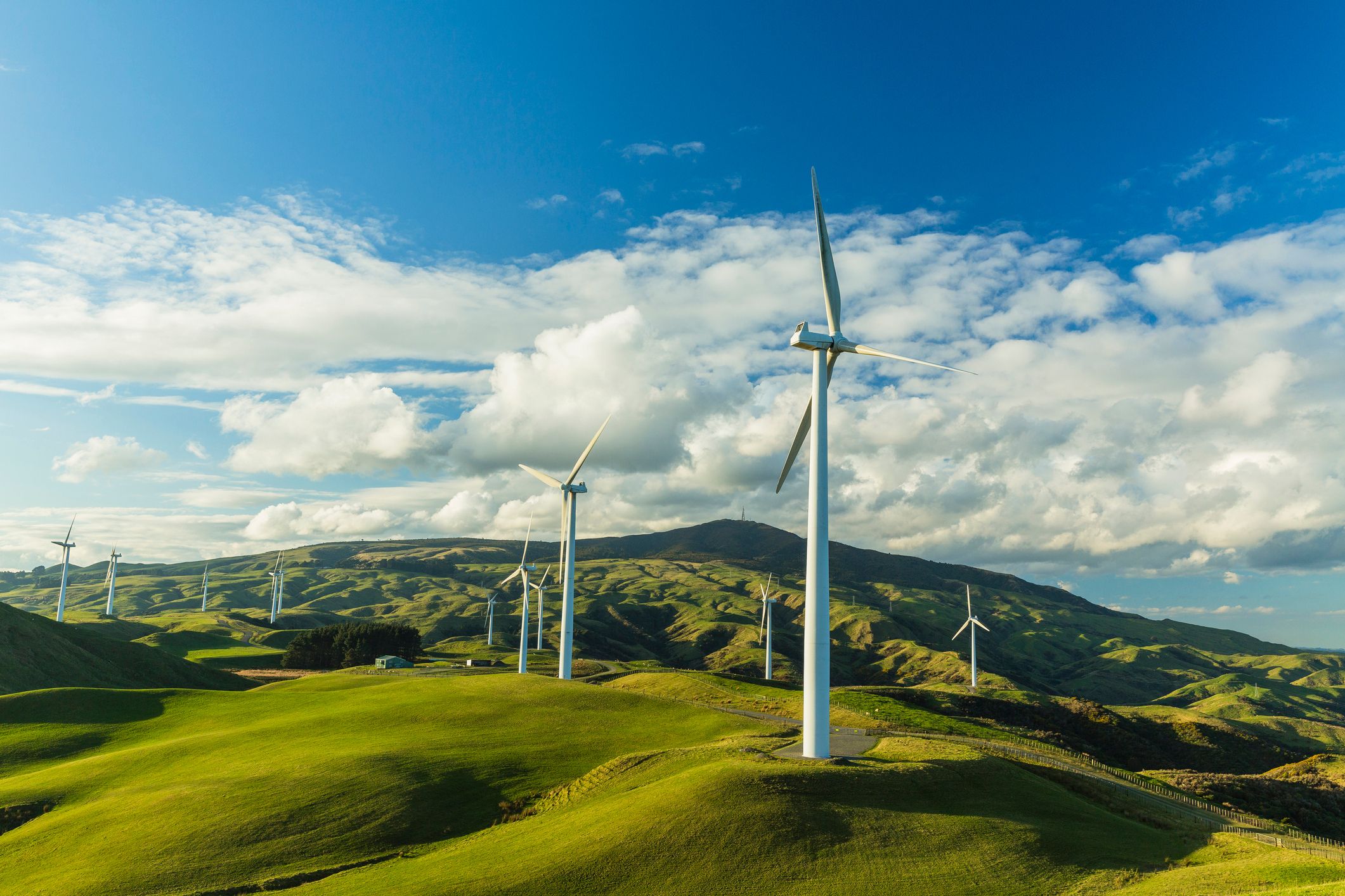 WInd energy stocks are renewable energy stocks