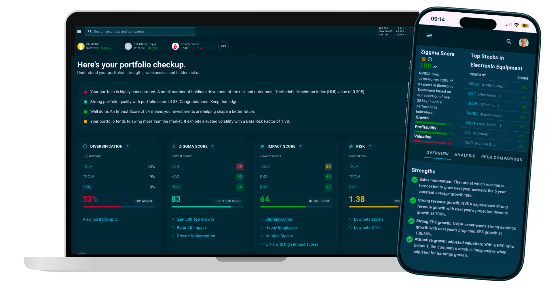 Screenshot of Ziggma's Portfolio Checkup