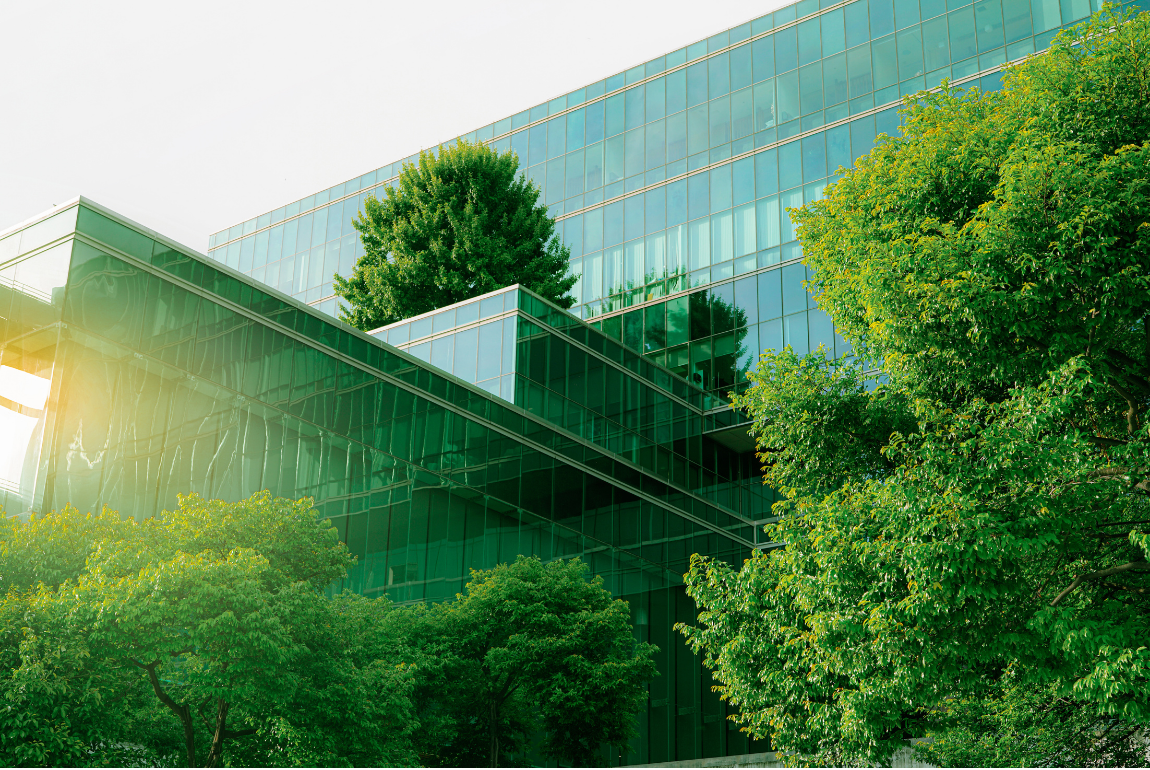 hero image for Ziggma's sustainable investing guide