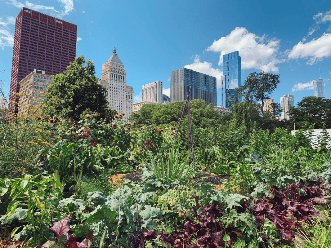 Why Impact Investing Is Going To Be Big.
