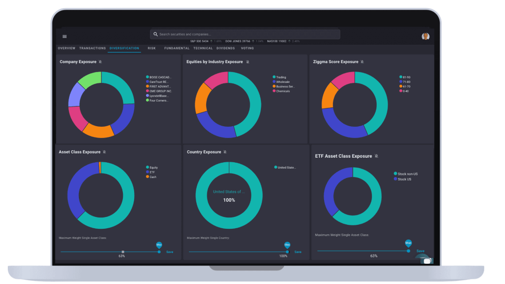 investment portfolio diversification represented in ziggma