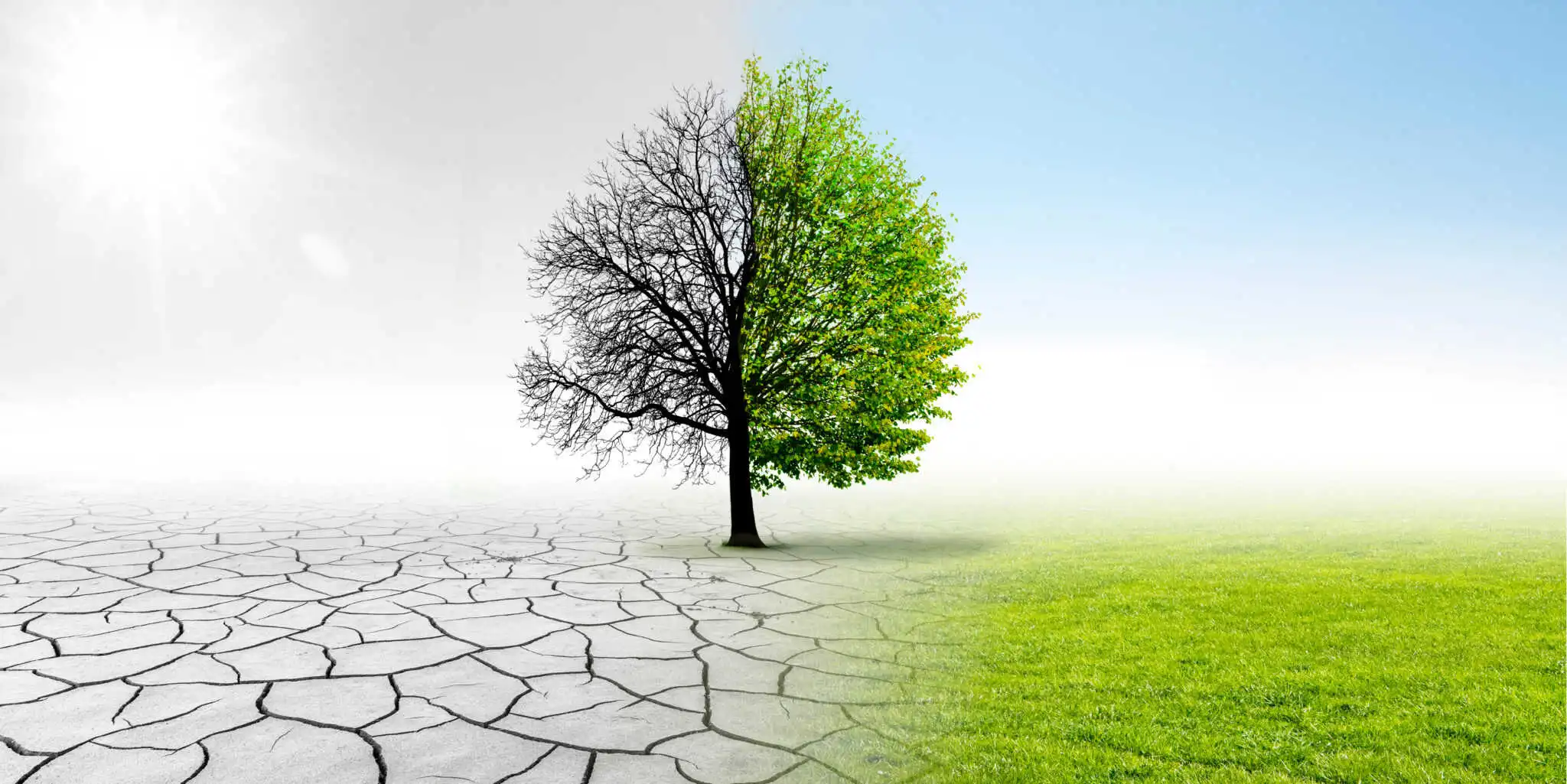 Climate Impact Investing: A Practical Framework for Building Wealth While Supporting Climate Solutions