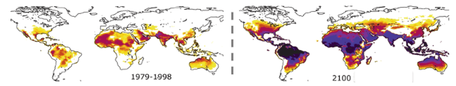 Best Stock Research Websites