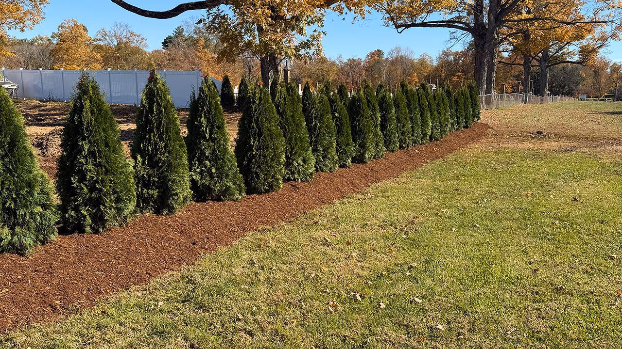 Luxury lawn care services for residential properties in Suffield, Connecticut