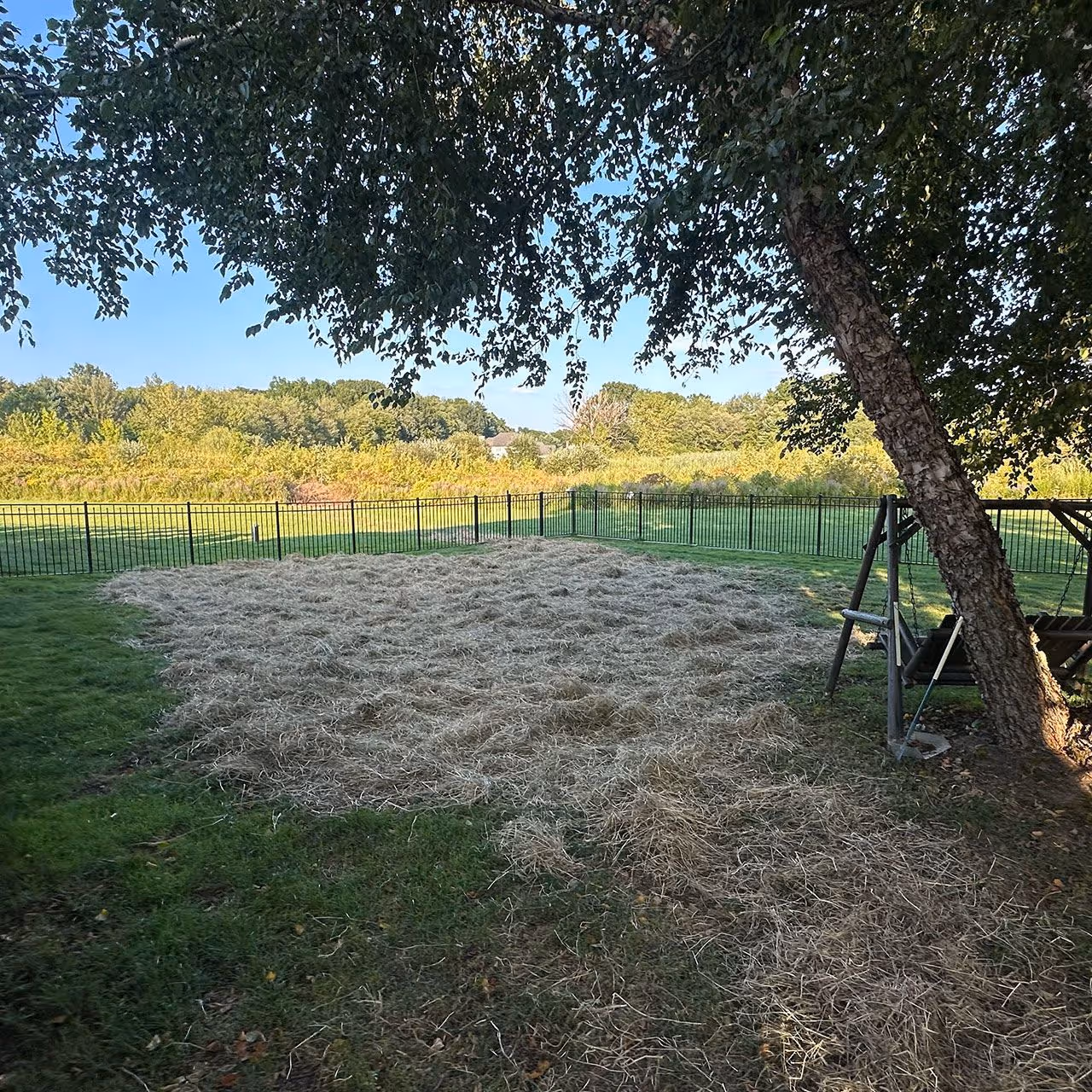 New lawn installation with sod and seeding in Suffield, Connecticut
