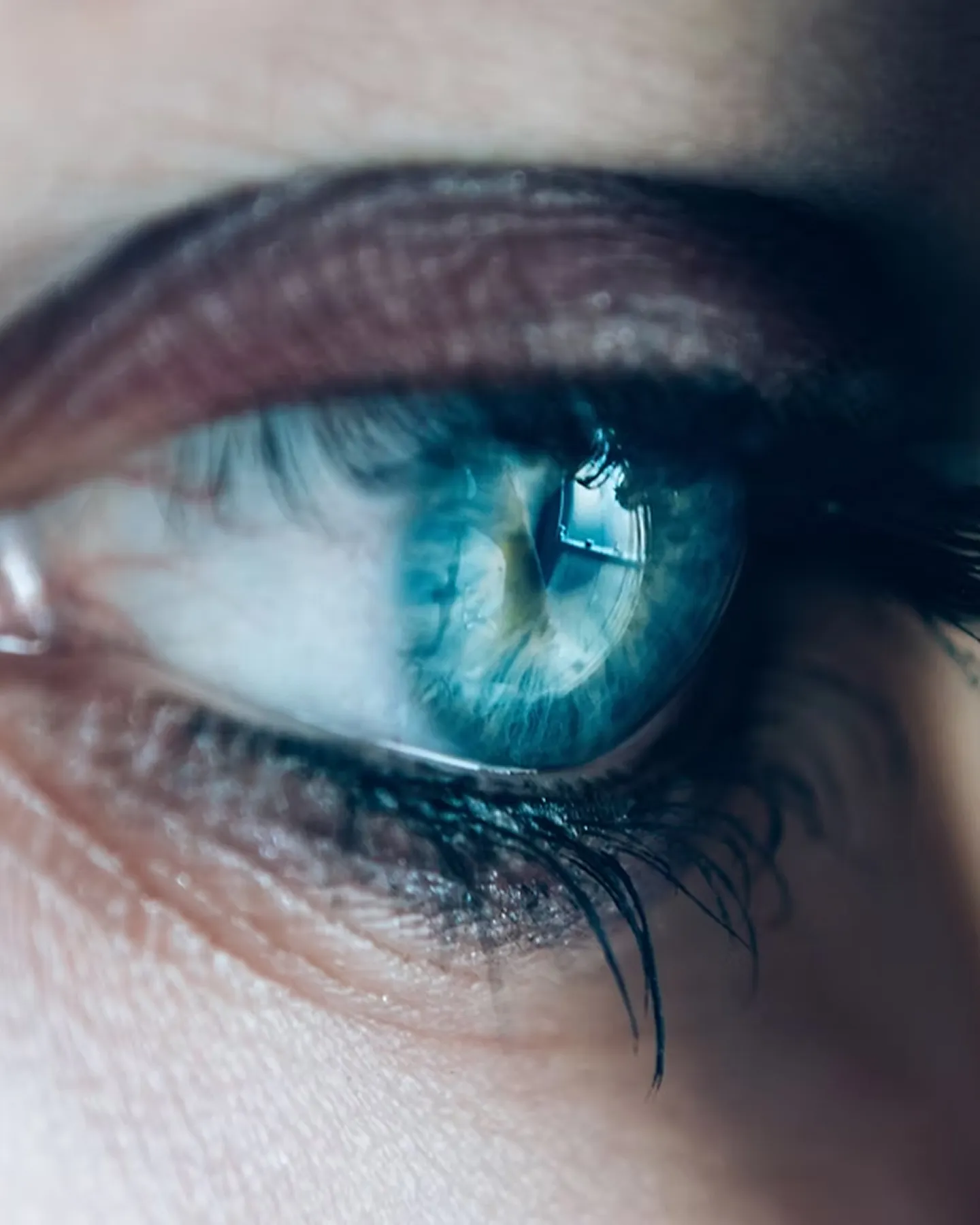 Detailed close-up of healthy human eye showing vibrant blue iris color and clear cornea