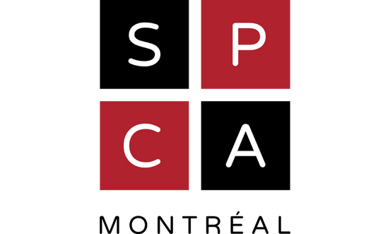 Logo de l'Église chrétienne évangélique de Sainte-Rose avec une croix stylisée rouge et blanche.