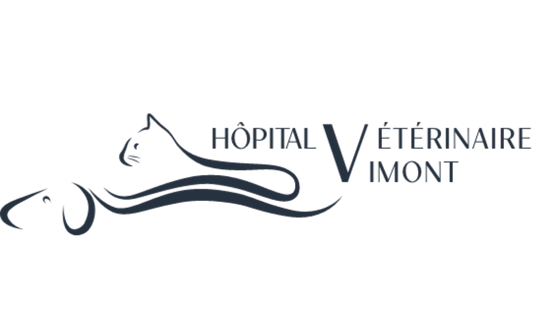 Logo de l'Église chrétienne évangélique de Sainte-Rose avec une croix stylisée rouge et blanche.