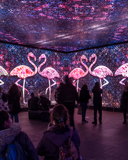 People viewing a light art installation with glowing pink flamingos and star patterns on the walls and ceiling.