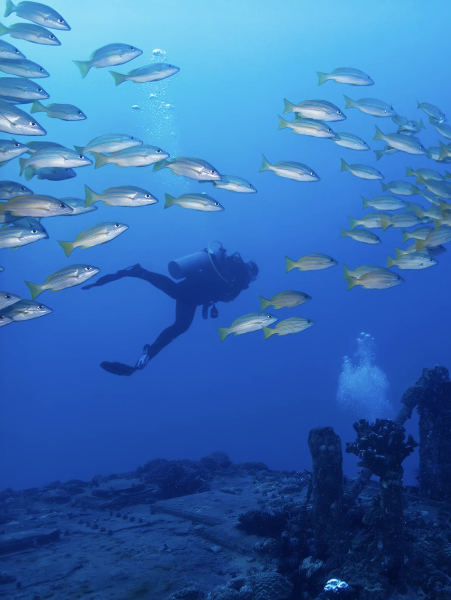 Scuba diver surrounded by fish