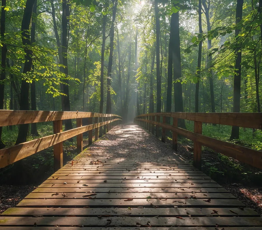 Instagram - Volunteer X Webflow Template