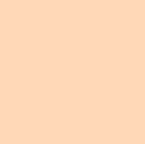 Solid light peach color background.
