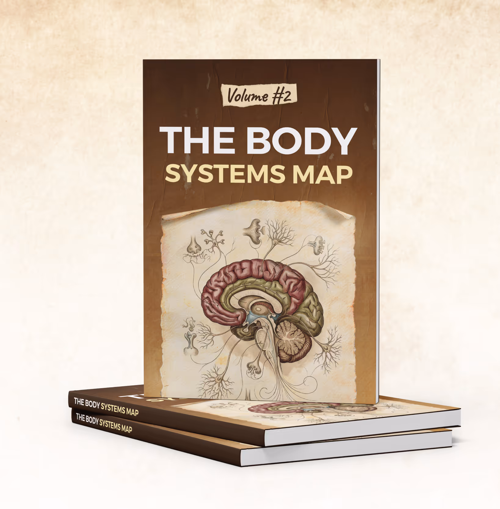 The Body Systems Map