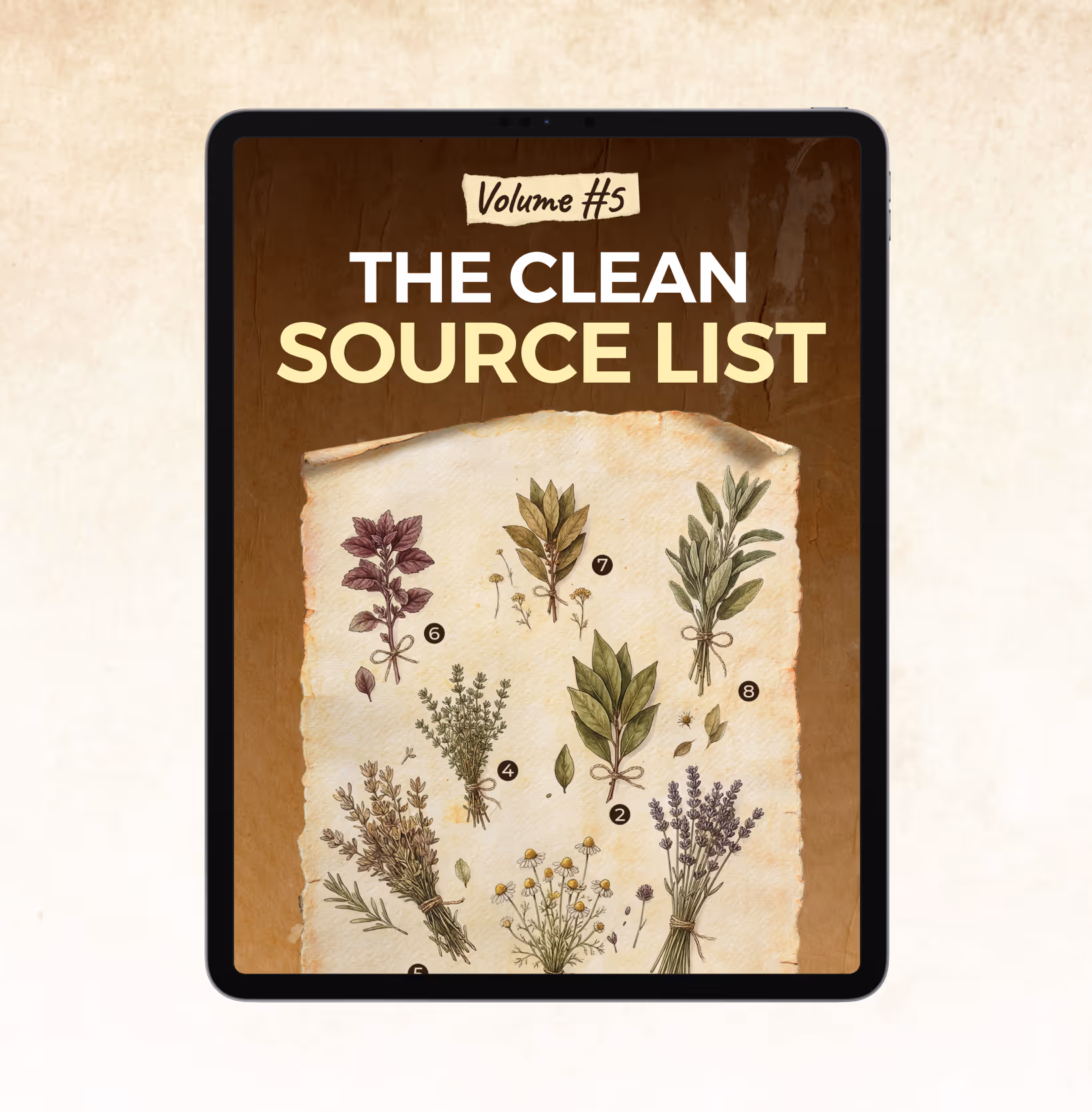 The Clean Source List