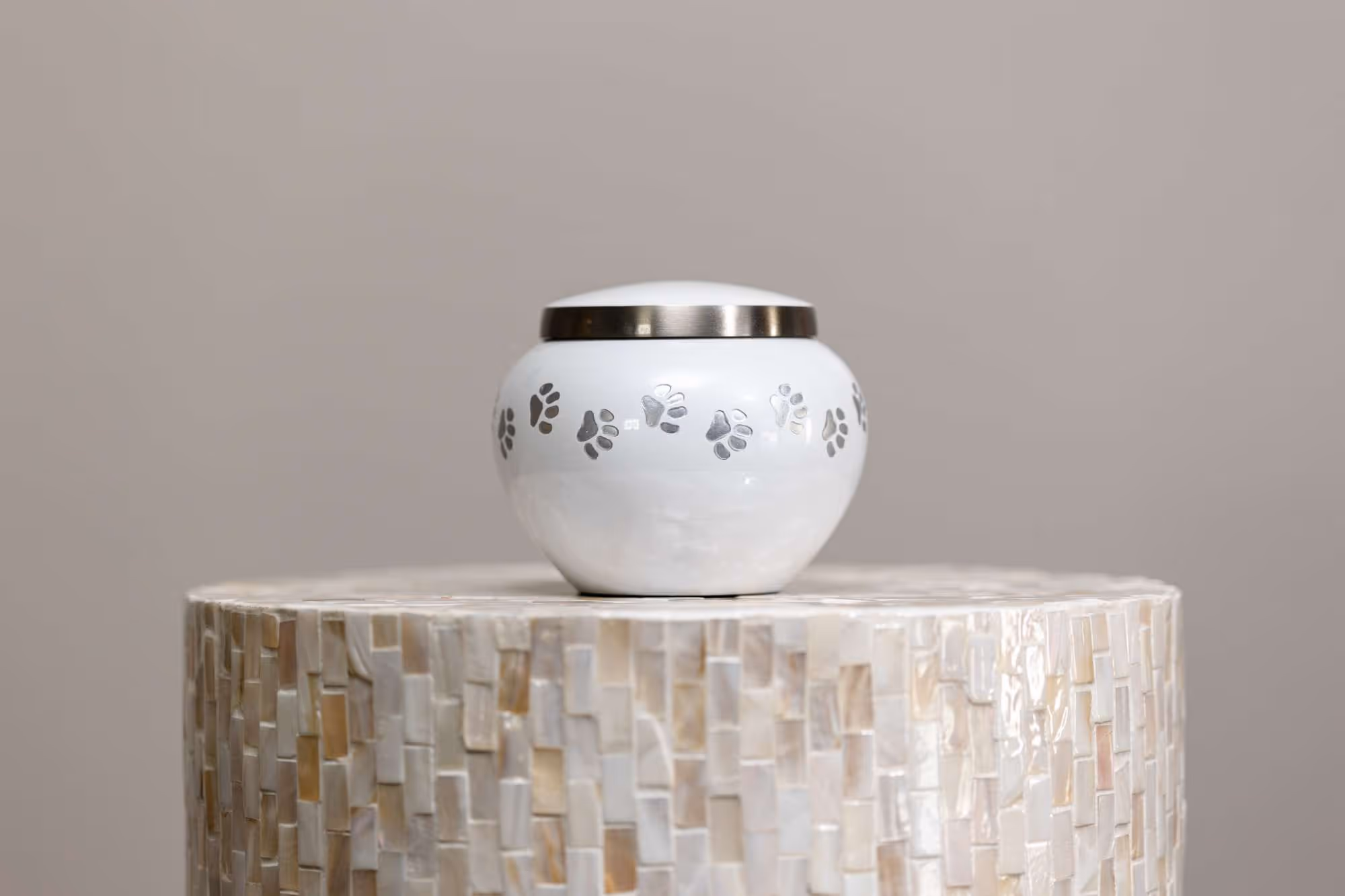 Odyssey Paw Series in White