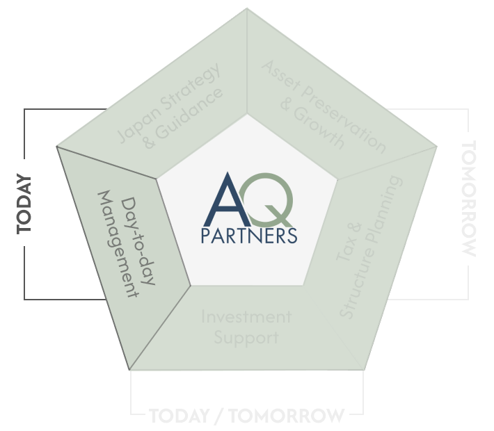 Overview diagram of family office services, highlightening the service of Day-to-day Management.
