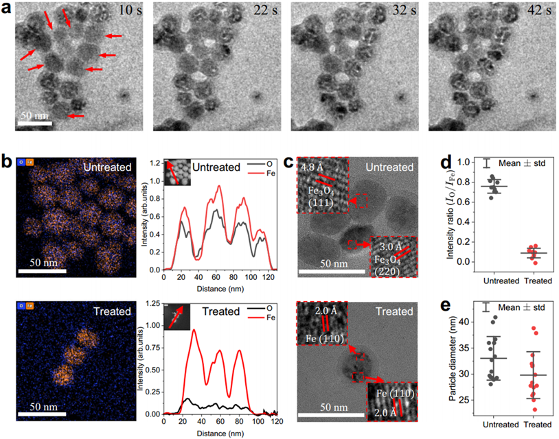 Operando plasma TEM imaging of hydrogen-plasma reduction in Fe₃O₄ nanoparticles