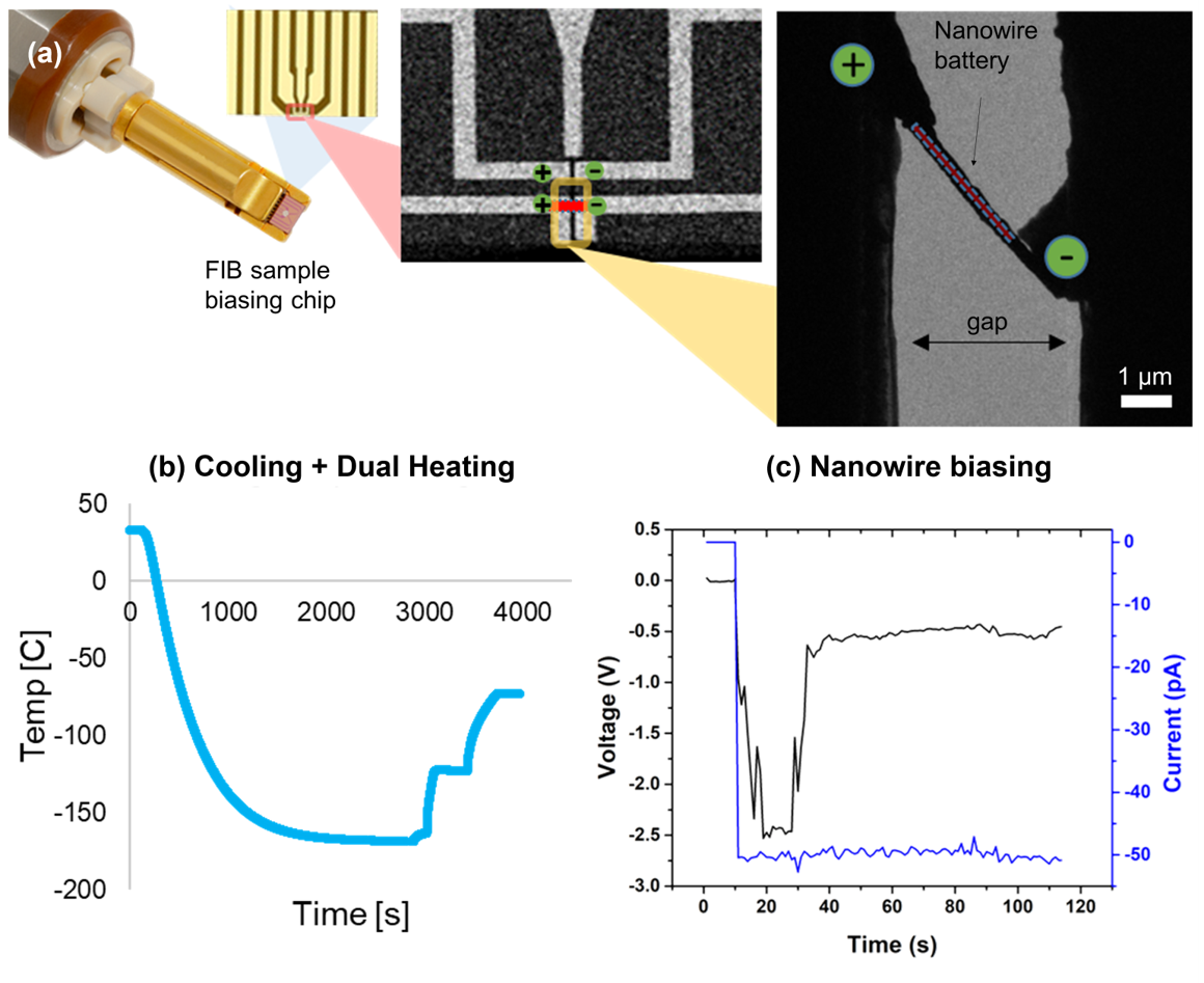 In-situ biasing of a nanowire at cryogenic temperature during dendrite plating reaction