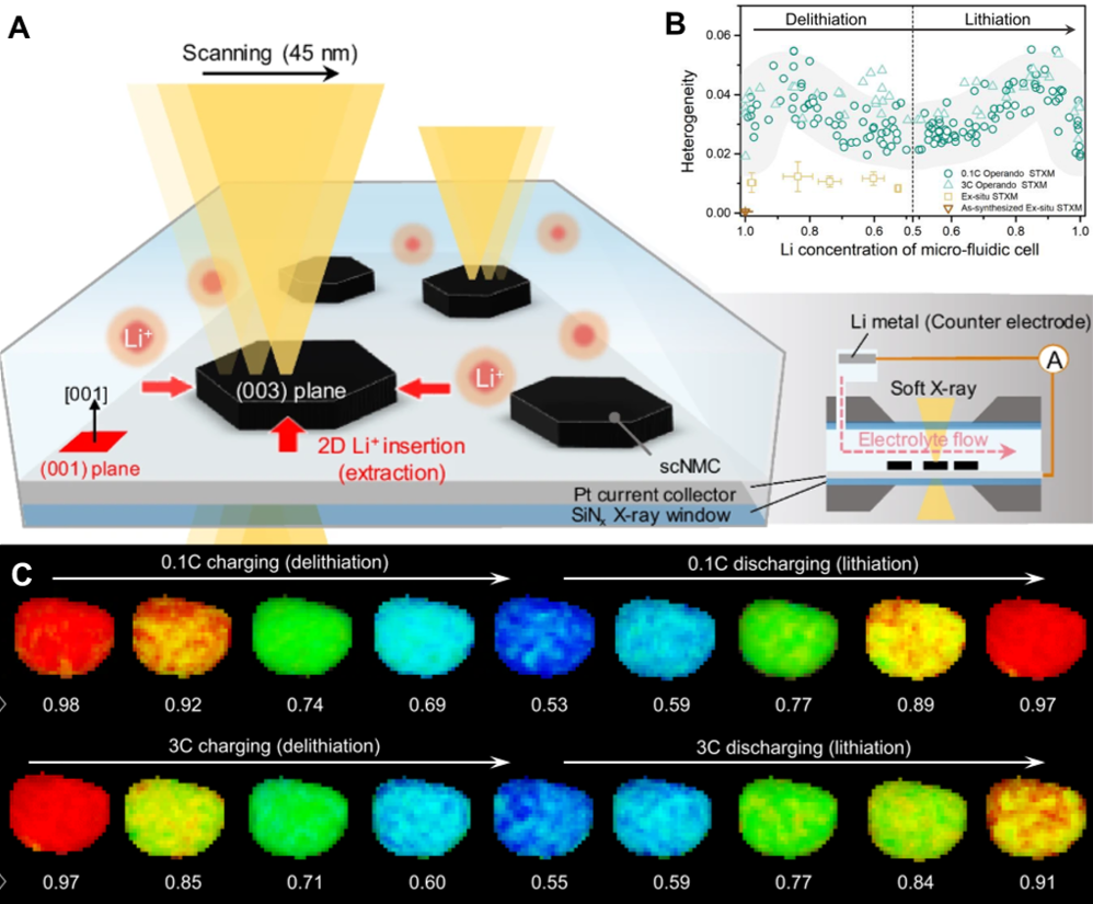Operando X-ray spectromicroscopy of strain-driven lithium transport in single-crystal NMC cathode particles