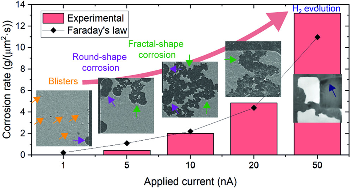 Real-time SEM imaging of localized anodic corrosion and hydrogen evolution in aluminum