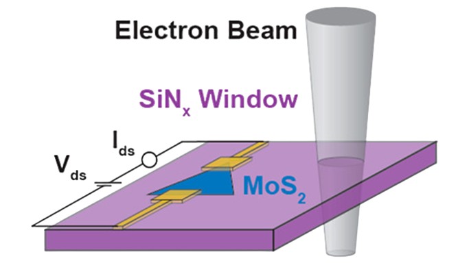 2D materials-based electronic devices