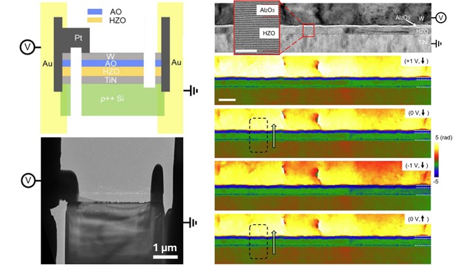 Operando electron holography