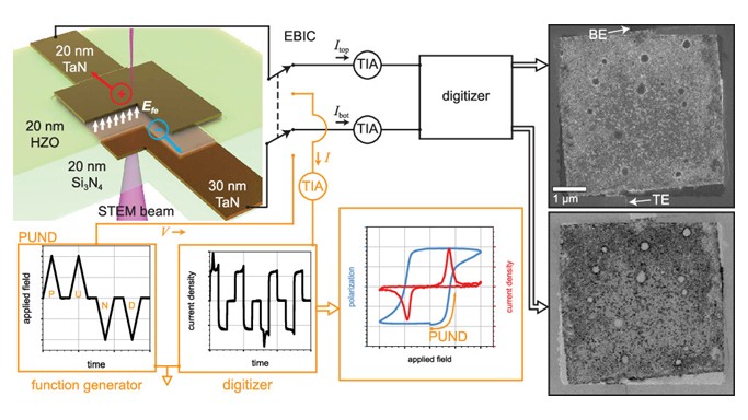 Electron beam-induced current (EBIC) imaging