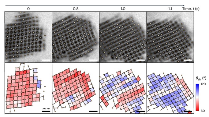 Nanoparticle self-assembly processes