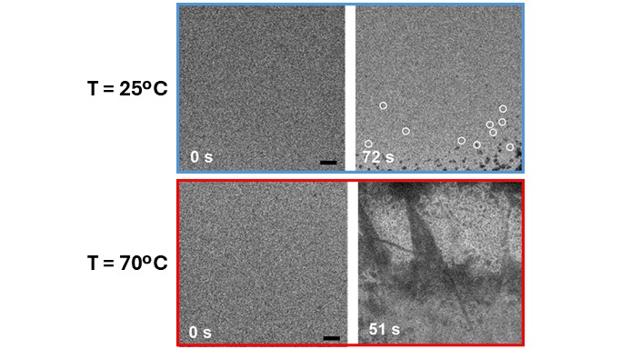 Temperature Dependent Crystal Growth