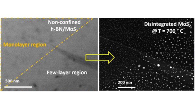 Low dimensional materials synthesis