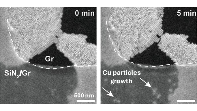 Low dimensional materials electrochemistry