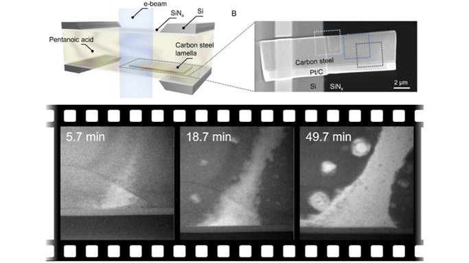 Biomaterial induced corrosion