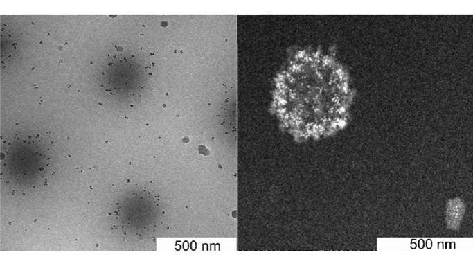 Microgel formation and growth