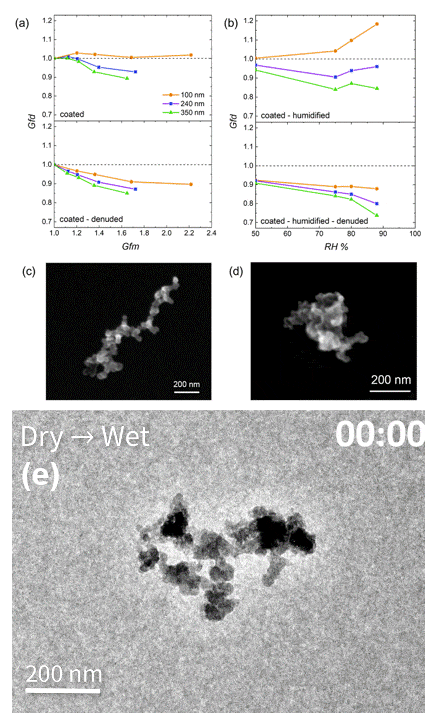 Surface-bound soot particles restructure differently from airborne particles