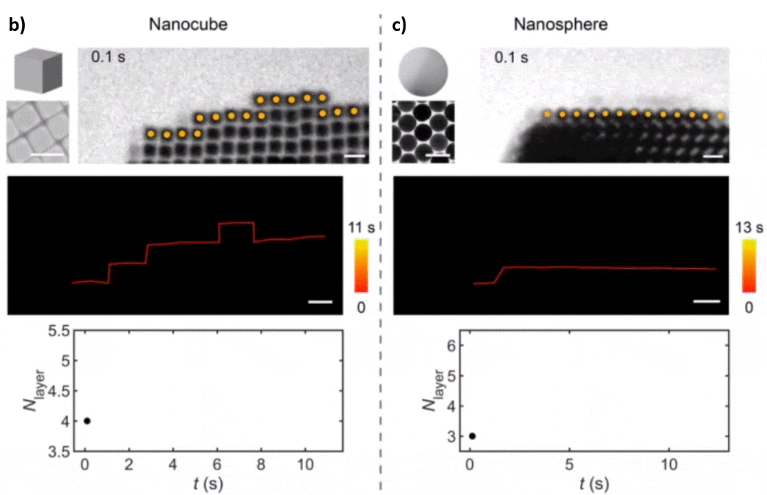 TEM liquid flow and mixing sample holder – Nanoscale crystal growth
