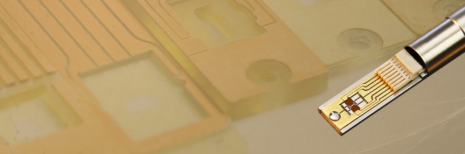 TEM Electrical Biasing: Flexible Carrier Sample Holder