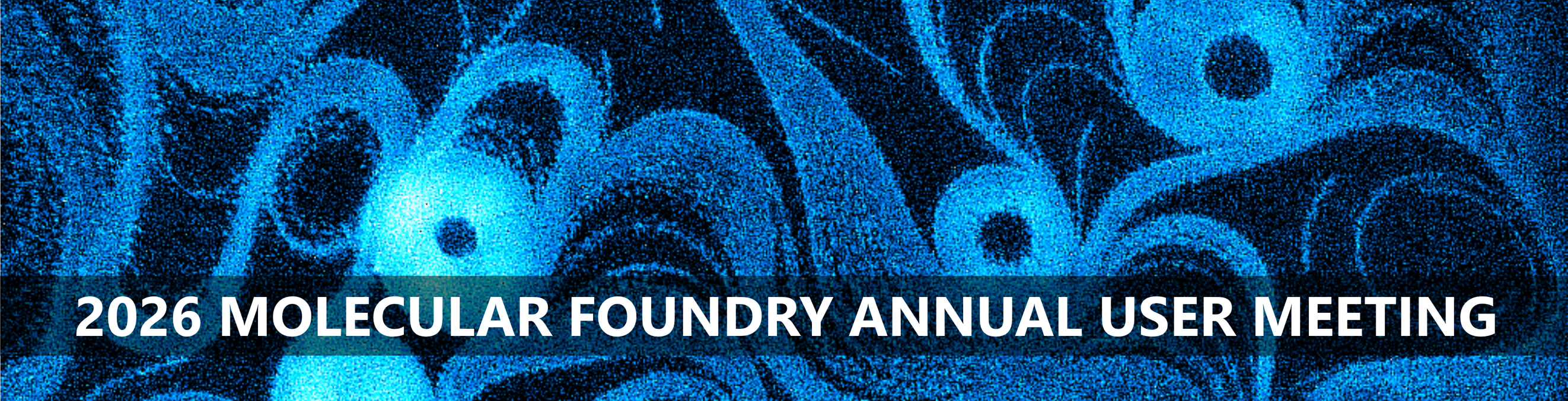 Hummingbird Scientific at Molecular Foundry User Meeting